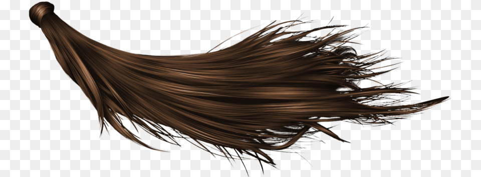 Long Hair Hair On Background, Accessories, Person, Animal, Fish Free Png Download
