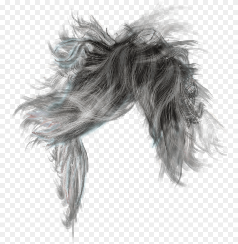 Long Hair Male, Accessories, Animal, Bird, Art Free Png Download