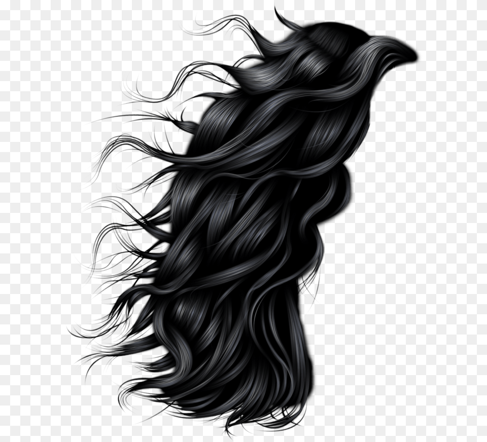 Long Hair Men, Adult, Female, Person, Woman Free Transparent Png