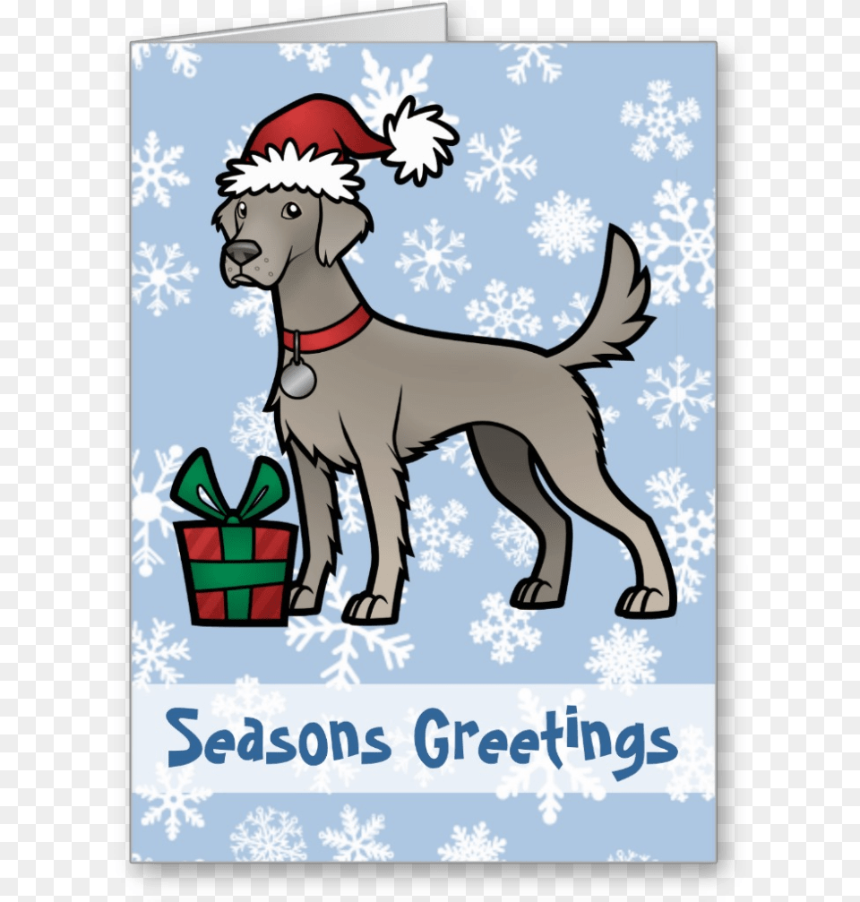 Long Haired Weimaraner Christmas Card Christmas Day, Greeting Card, Envelope, Mail, Person Free Png Download