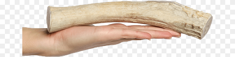 Long Lasting Dog Chews Long Lasting Dog Chews, Baby, Person, Ivory Free Png