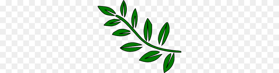 Long Leaf Clipart, Plant, Herbs, Herbal, Pattern Png