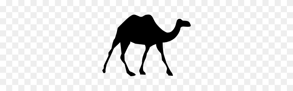 Long Legged Camel Sticker, Animal, Mammal, Kangaroo Png