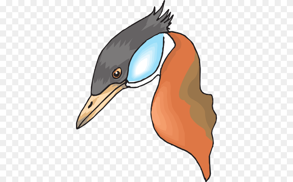 Long Necked Duck Head Clip Art, Animal, Beak, Bird, Jay Free Png Download