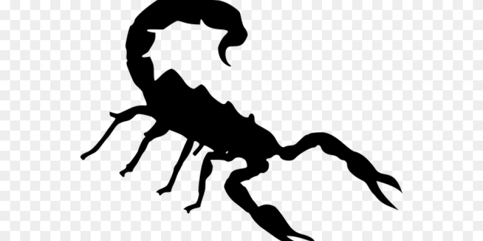 Long Range Desert Group Logo Clipart Download Cartoon Scorpion Background, Gray Free Png