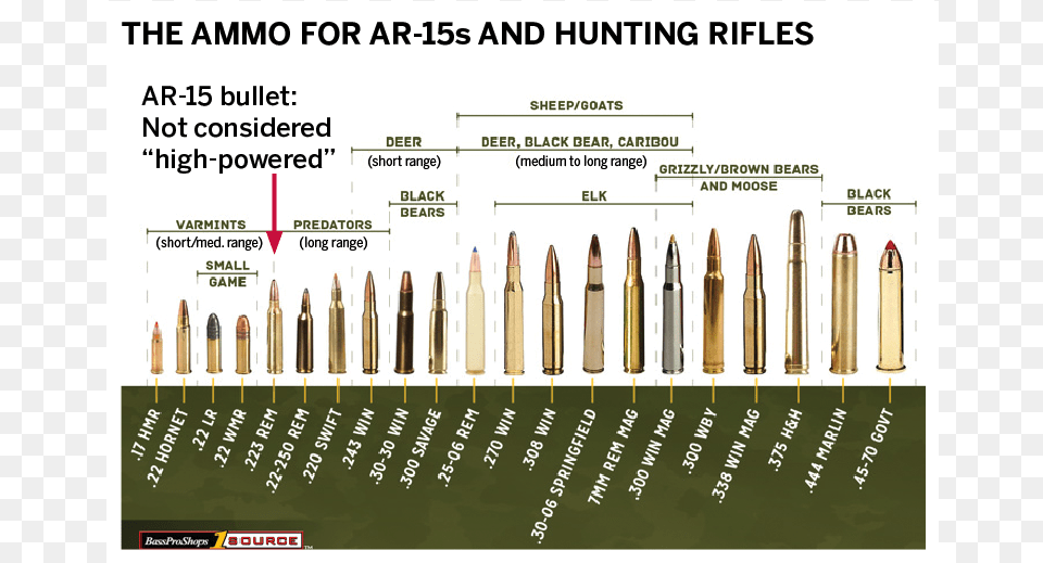 Long Range Hunting Calibers, Ammunition, Weapon, Bullet Png