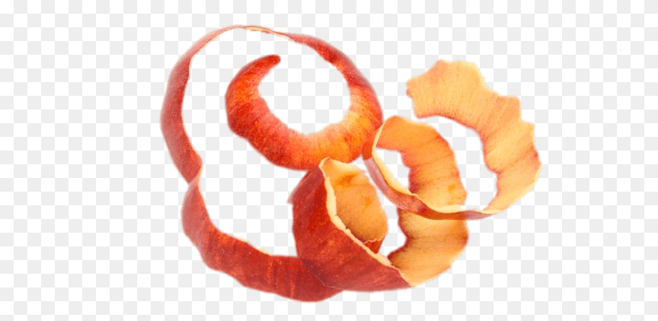 Long Red Apple Peel Png Image