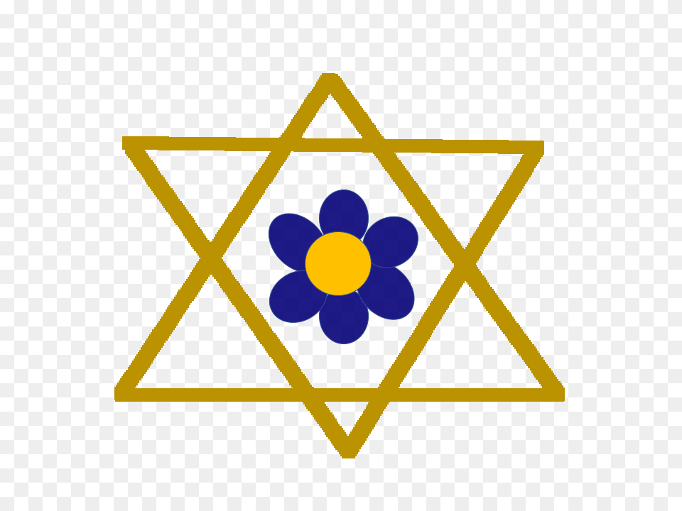 Long Seder Plate Info, Star Symbol, Symbol Free Png Download