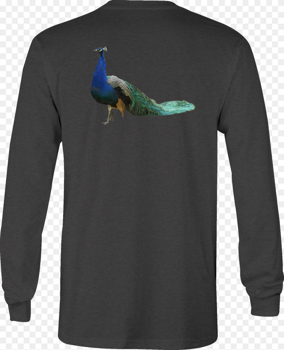 Long Sleeve Tshirt Peacock Feathers Shirt For Men Or T Shirt, Clothing, Long Sleeve, Coat, Animal Free Png