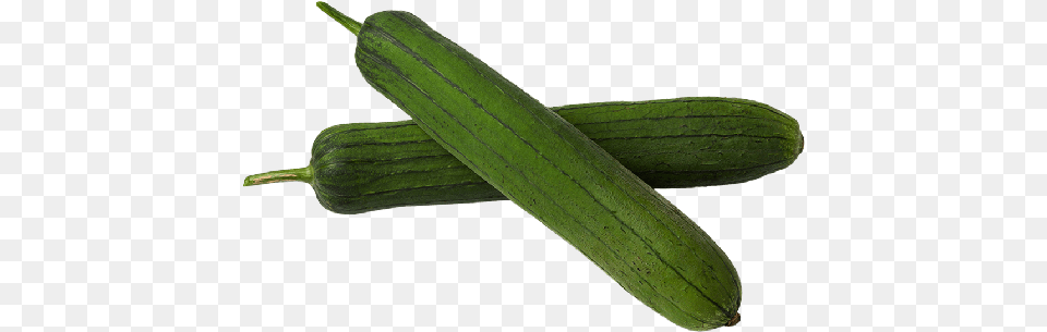 Long Sponge Gourdloofah 250g Cucumber, Food, Plant, Produce, Vegetable Free Png Download