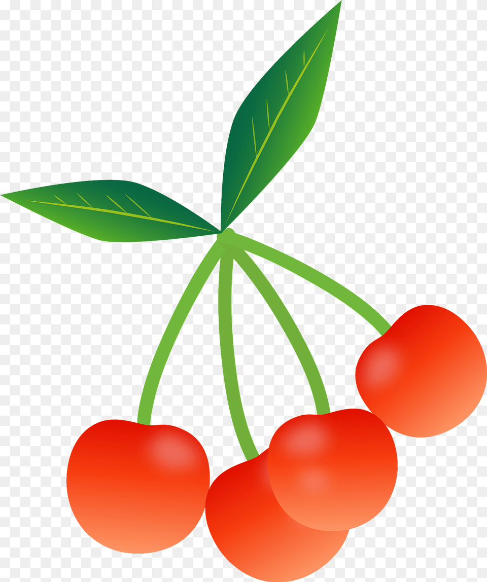 Long Stem Cherries Clipart, Cherry, Food, Fruit, Plant Free Png Download