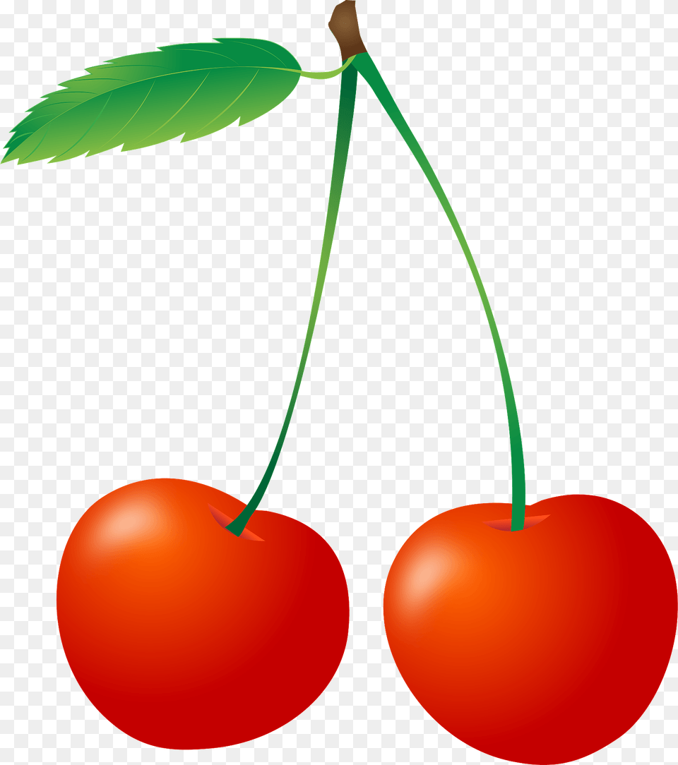 Long Stem Cherries Clipart, Cherry, Food, Fruit, Plant Free Png Download