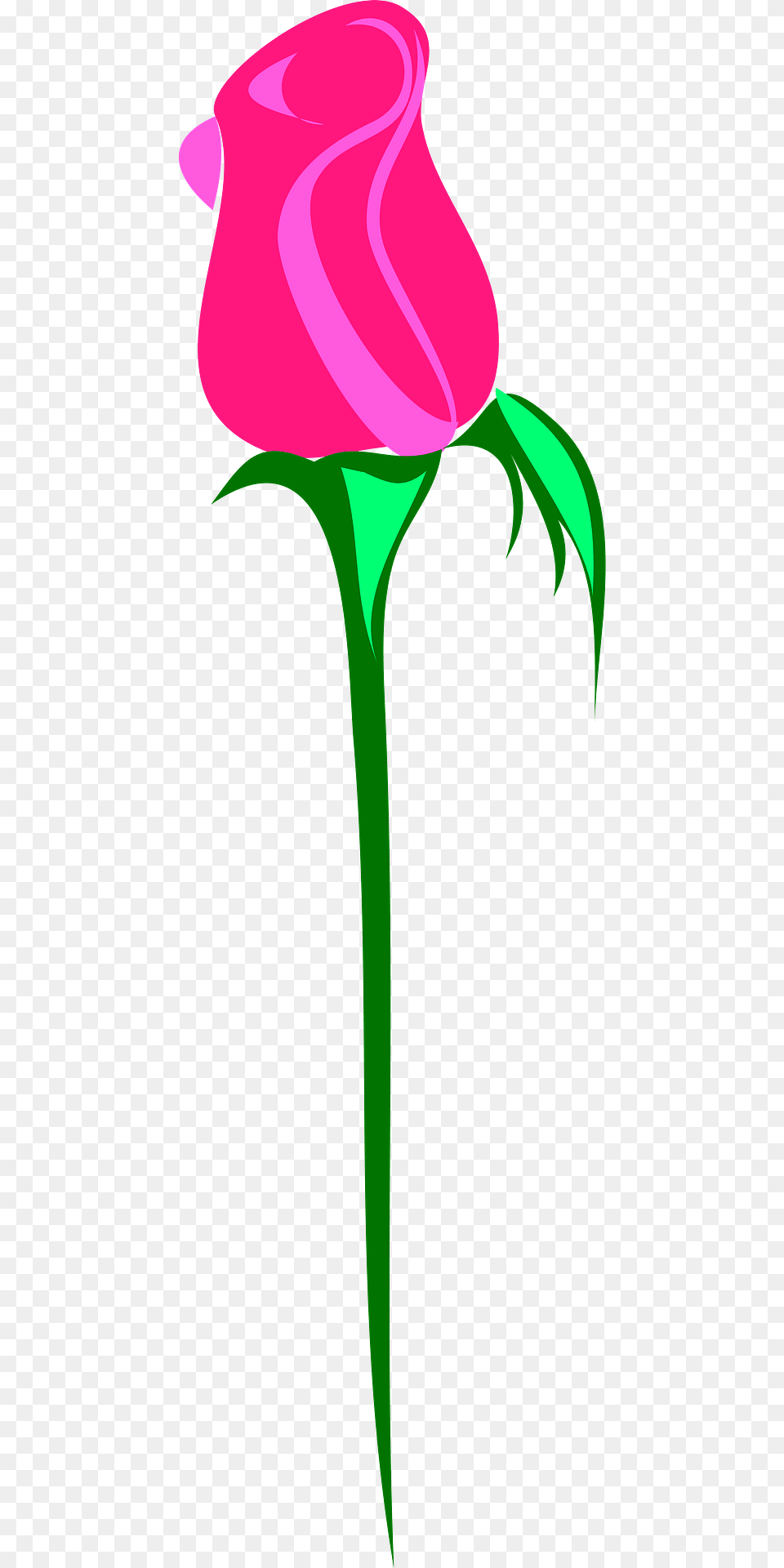 Long Stem Pink Rose Bud Clipart, Flower, Plant, Petal Png Image