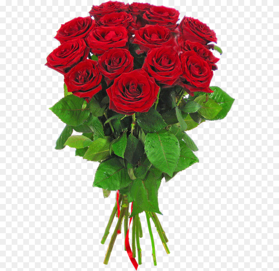 Long Stem Rose, Flower, Flower Arrangement, Flower Bouquet, Plant Free Transparent Png