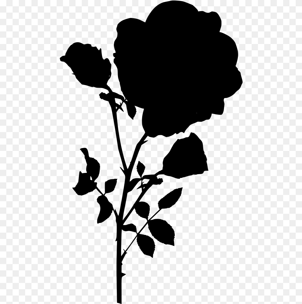 Long Stem Rose, Gray Png Image