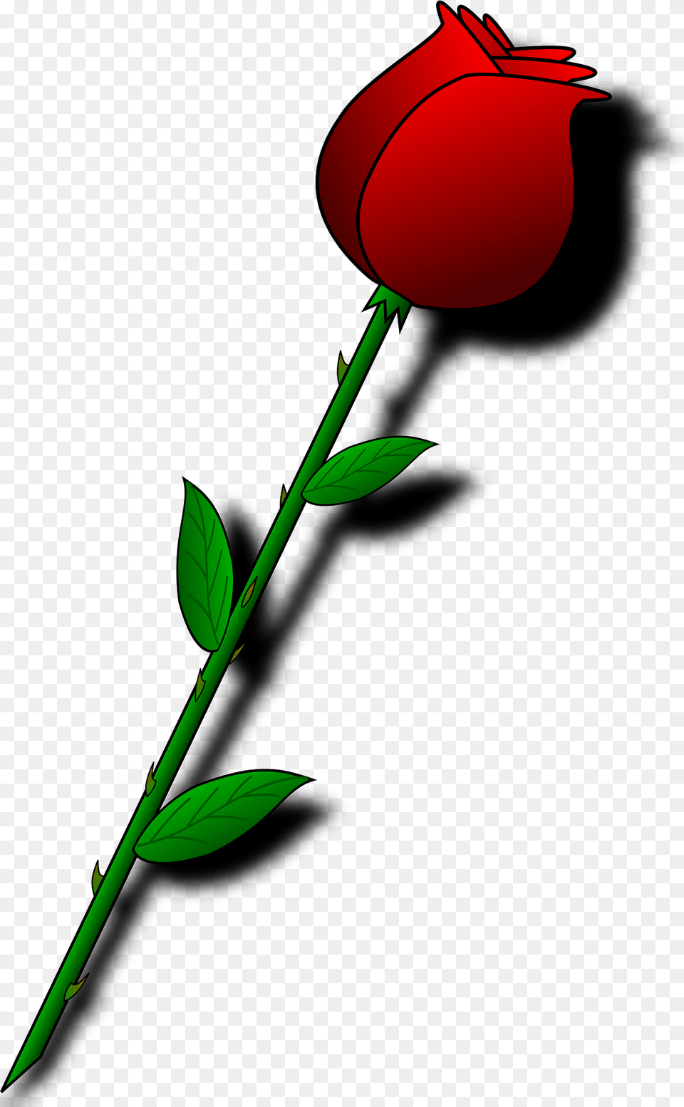 Long Stem Rose Clipart, Flower, Plant, Petal Free Transparent Png