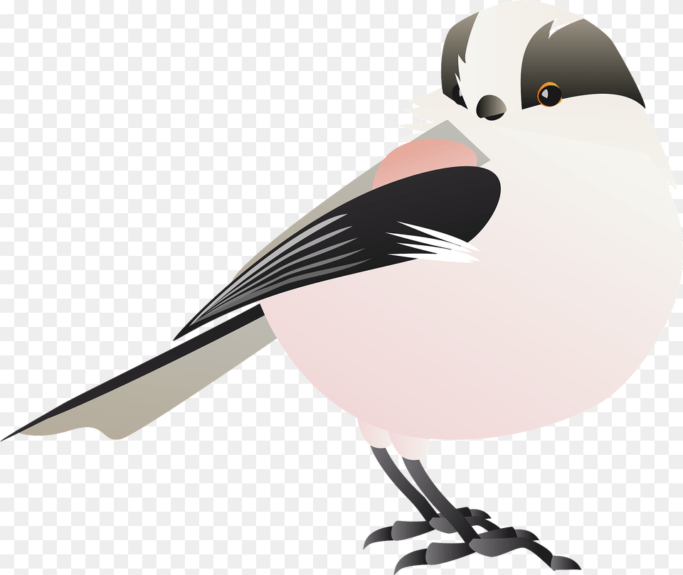 Long Tailed Tit Bird Clipart, Animal, Finch, Jay, Knife Png