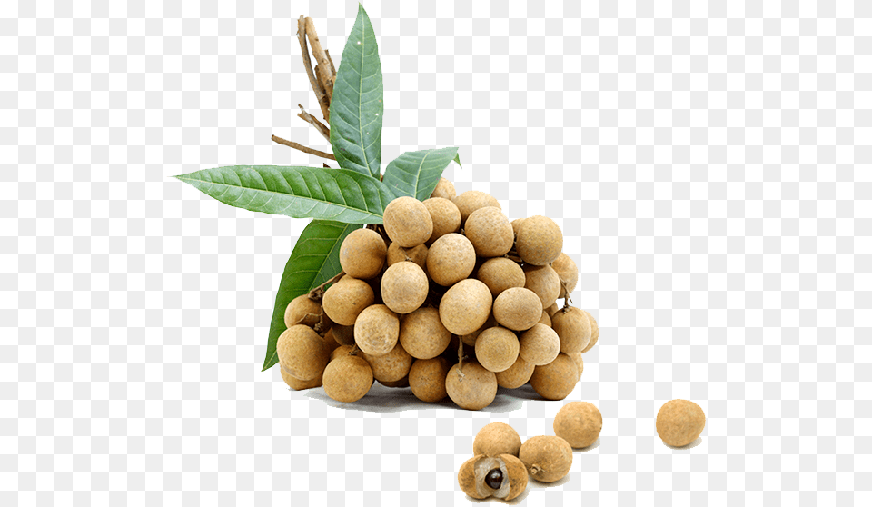 Longan, Food, Fruit, Plant, Produce Png