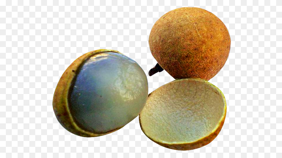 Longan Image, Accessories, Gemstone, Jewelry, Ornament Png