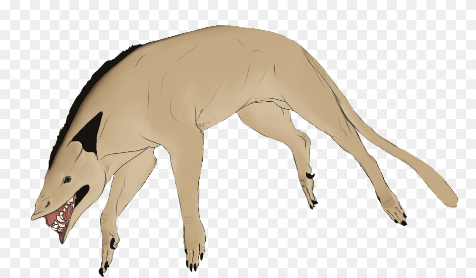 Longdog, Adult, Female, Person, Woman Free Png Download