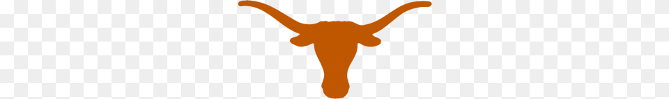 Longhorn, Animal, Cattle, Livestock, Mammal Png Image