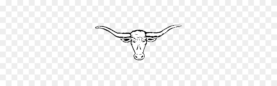 Longhorn, Animal, Mammal, Cattle, Livestock Free Png Download