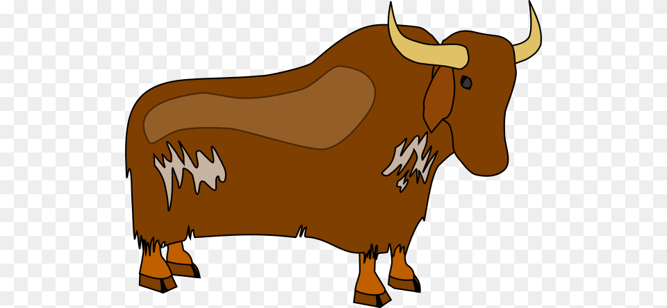 Longhorn Cattle Clipart, Animal, Bull, Livestock, Mammal Free Transparent Png