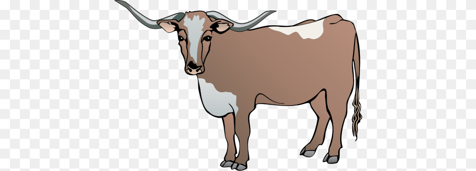 Longhorn Cattle Clipart Drawing Cow Vector, Animal, Livestock, Mammal, Bull Png