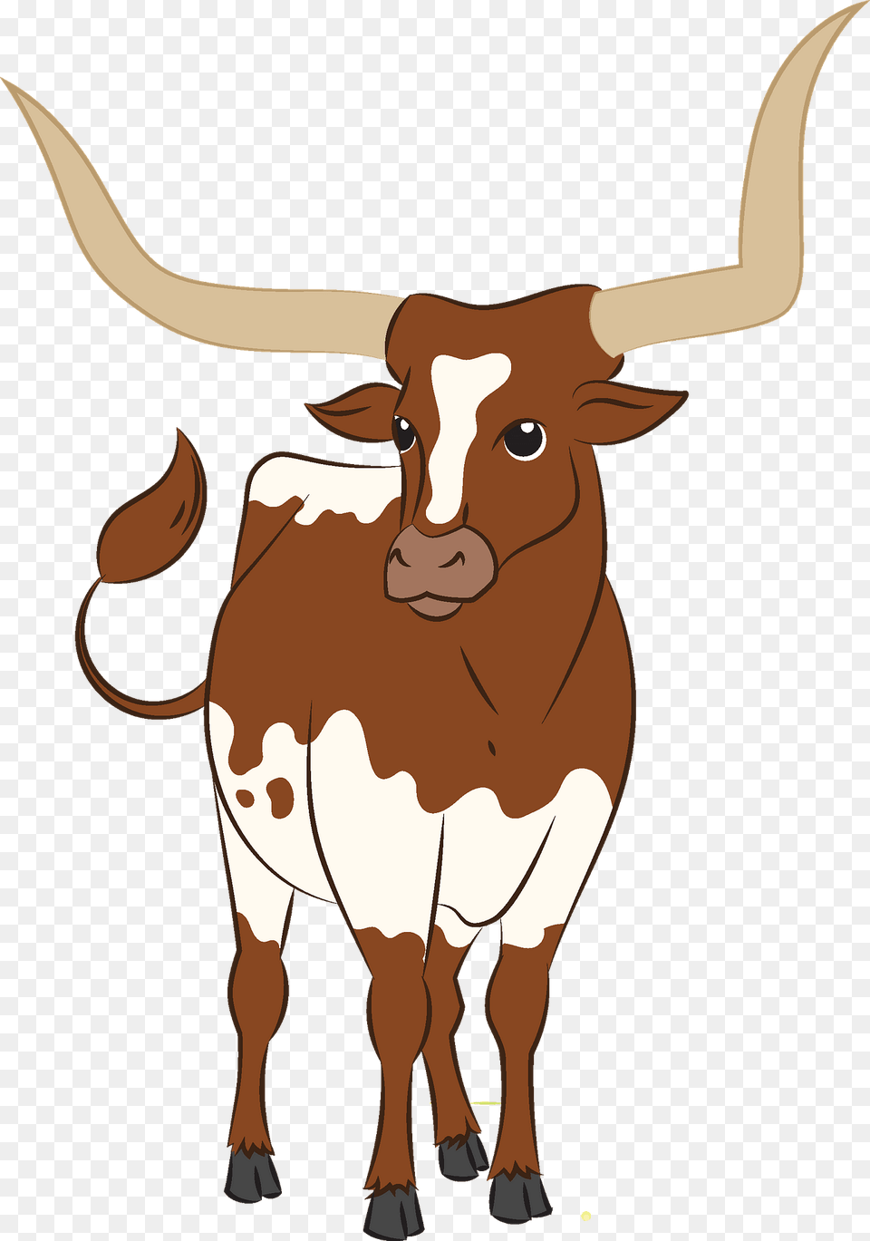 Longhorn Clipart, Animal, Cattle, Livestock, Mammal Png