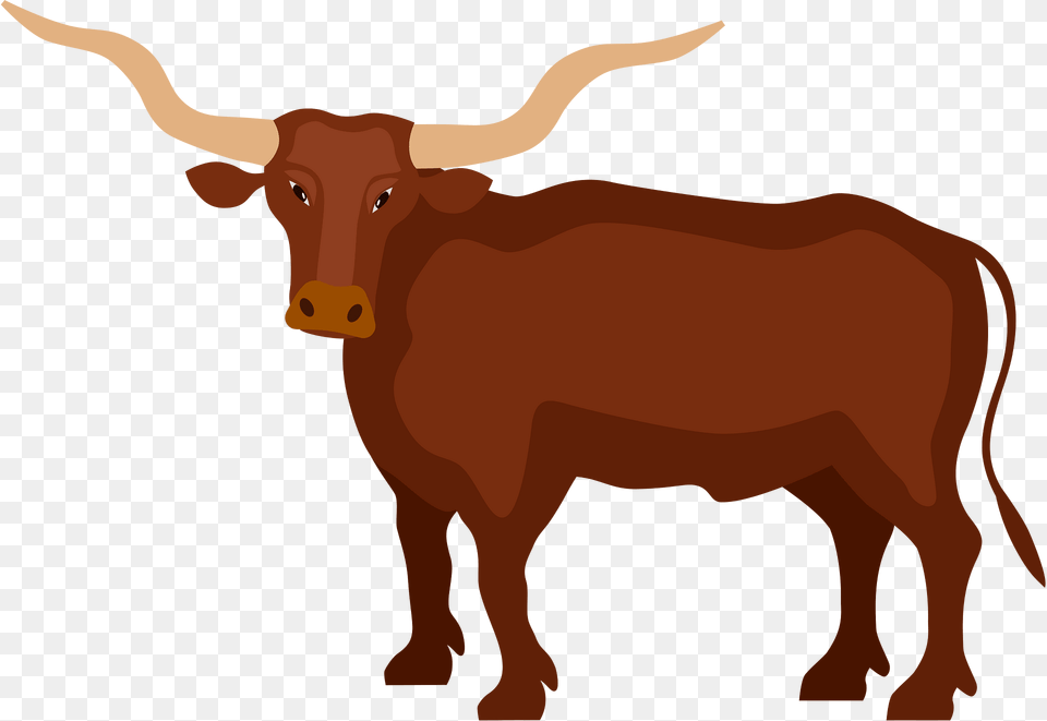 Longhorn Clipart, Animal, Cattle, Livestock, Mammal Png
