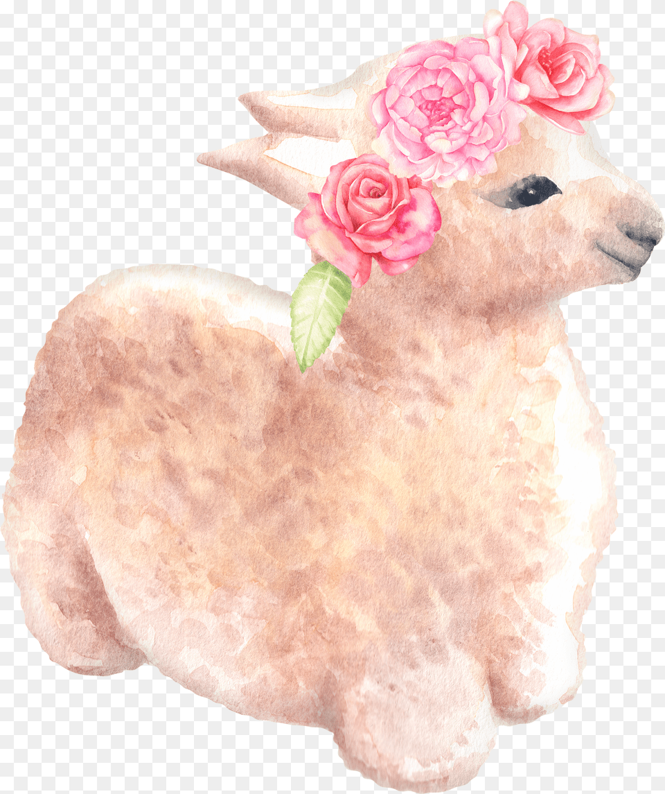 Longhorn Clipart Flower Crown Banner Llama Watercolor Watercolor Painting Free Transparent Png