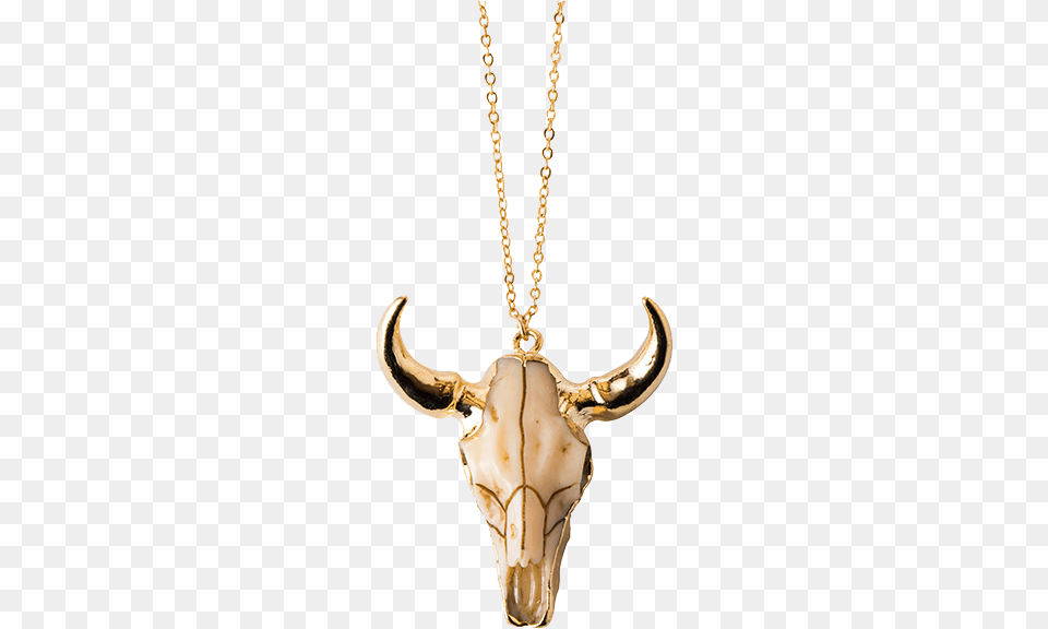 Longhorn Necklace, Accessories, Jewelry, Animal, Antelope Png Image