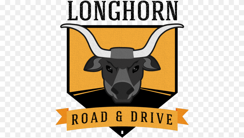 Longhorn Road And Drive, Animal, Cattle, Livestock, Mammal Free Png Download