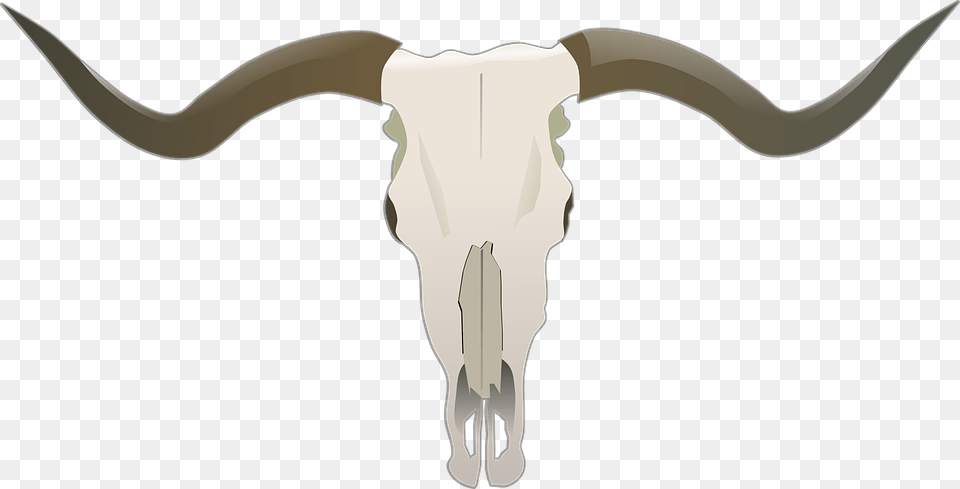 Longhorn Skull, Animal, Cattle, Livestock, Mammal Png Image