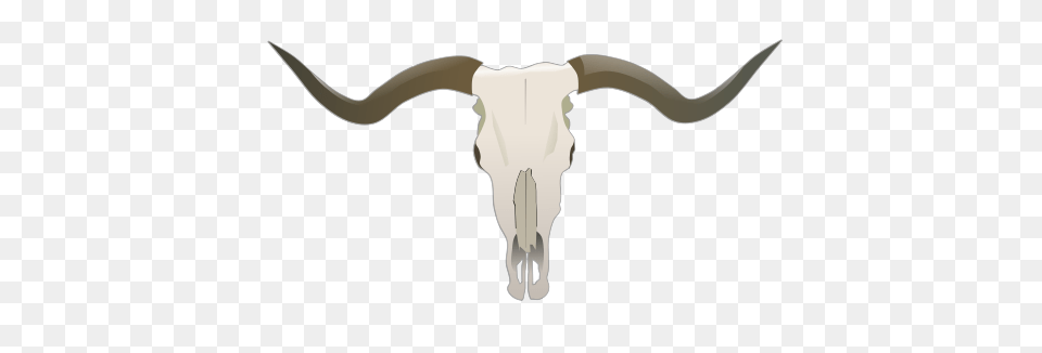 Longhorn Skull, Animal, Cattle, Mammal, Livestock Png