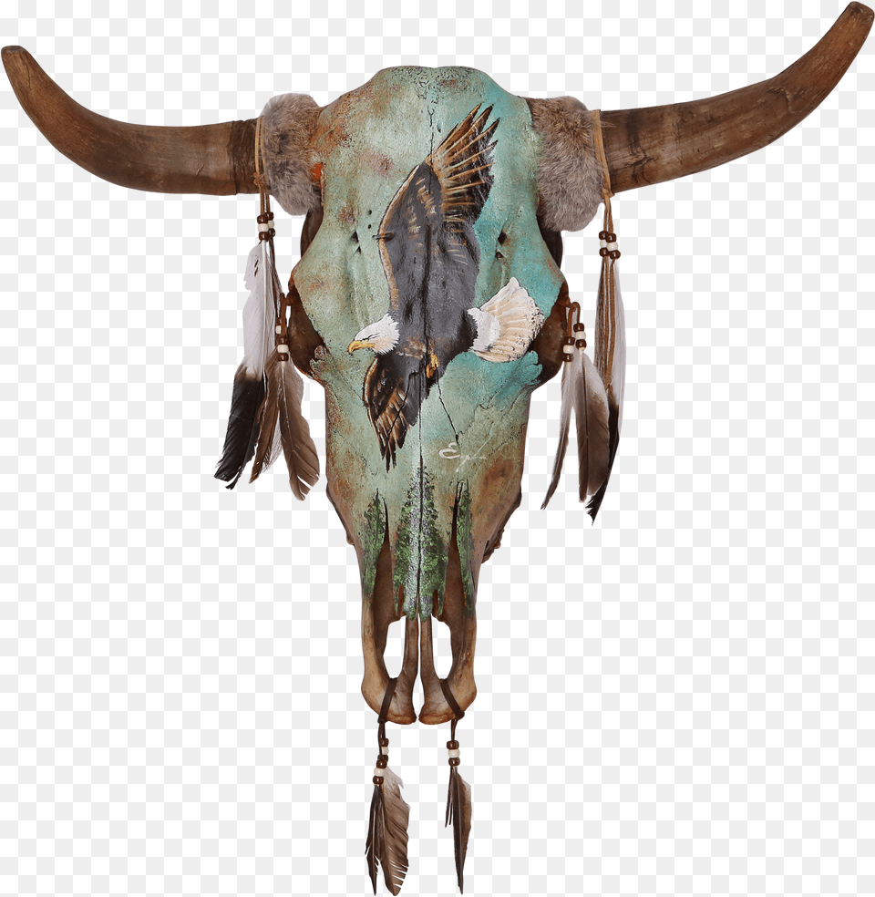 Longhorn Skull, Animal, Bull, Cattle, Livestock Free Transparent Png