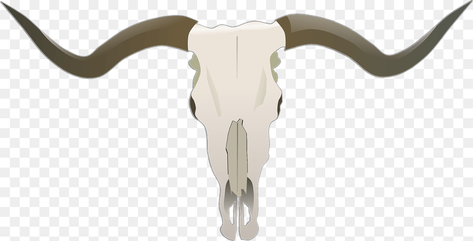 Longhorn Skull Clipart, Animal, Cattle, Livestock, Mammal Free Png