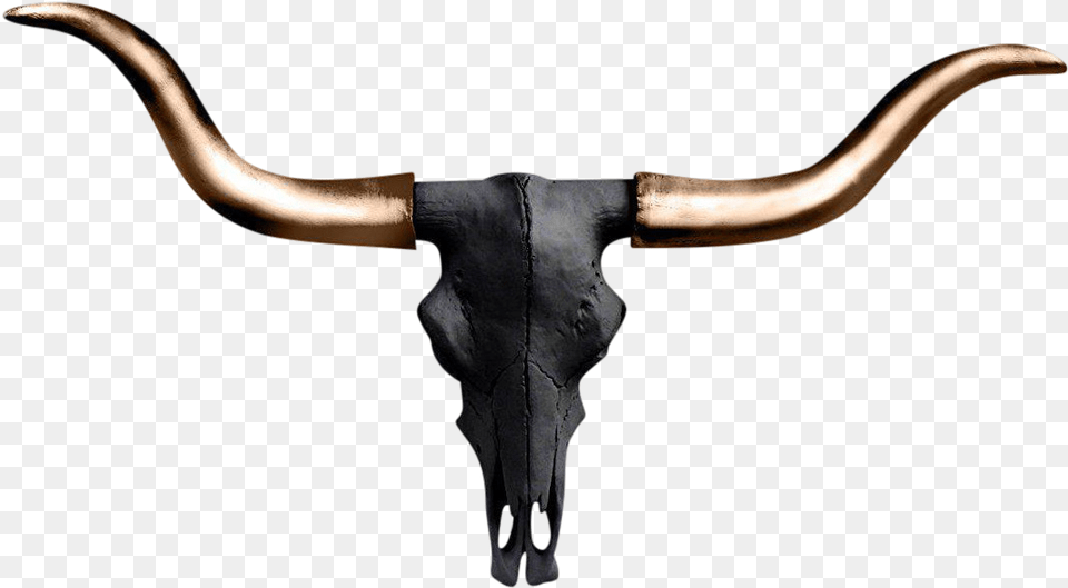 Longhorn Skull Clipart Horn, Animal, Mammal, Cattle, Livestock Free Png