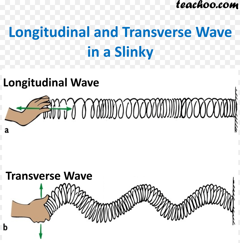 Longitudinal And Transverse Waves, Coil, Spiral, Chart, Plot Free Png Download