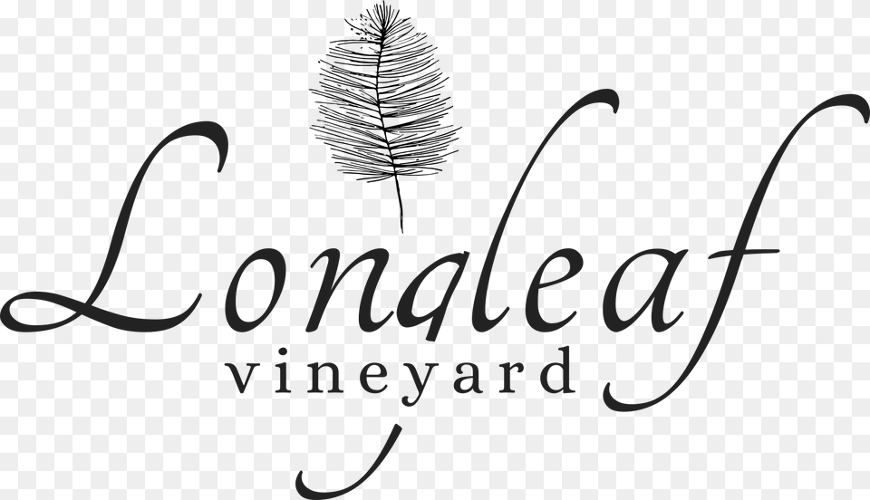 Longleaf Logo Vineyard Asheville Wedding Events, Text, Handwriting, Bow, Weapon Png