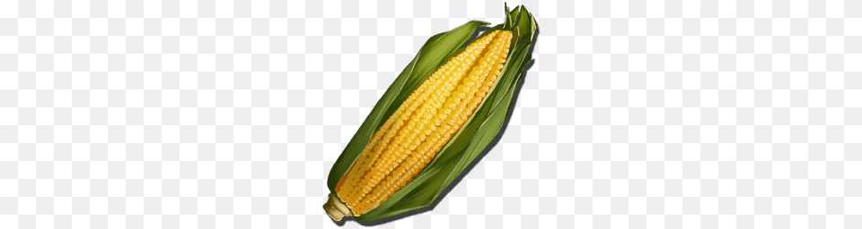 Longrass, Corn, Food, Grain, Plant Free Png