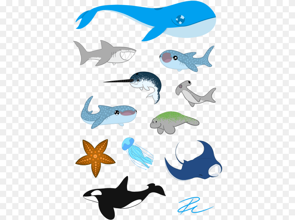 Look At All These Sea Babies, Animal, Fish, Sea Life, Shark Free Png Download