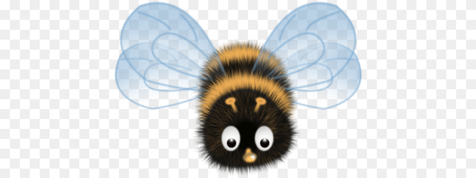 Look At The Shiny Shiny Honey Bee, Animal, Apidae, Bumblebee, Insect Png Image