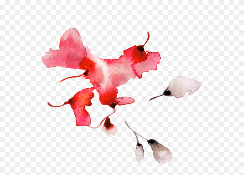 Lookbook River Blossom Leaves Watercolor Paint, Flower, Petal, Plant, Leaf Free Png Download