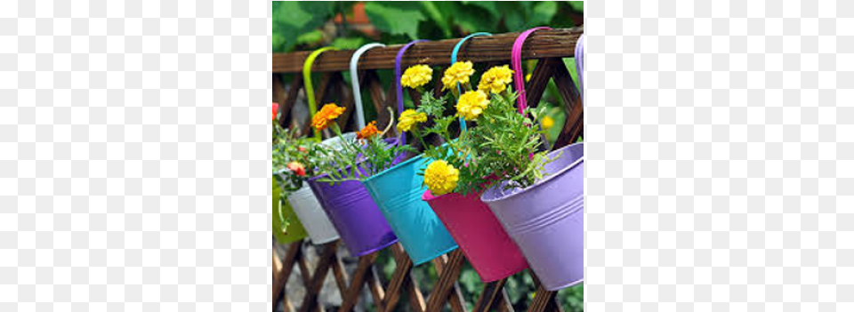 Looking At Plush Greens Beautiful Flowers And Plants Hanging Balcony Planter Cheap, Jar, Plant, Potted Plant, Pottery Free Png