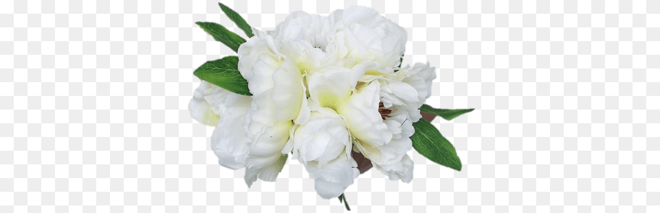 Looking For White Wedding Flowers Check Out This Beautiful Peony Silk Bouquet In White 10quot Tall, Flower, Plant, Rose, Flower Arrangement Free Transparent Png