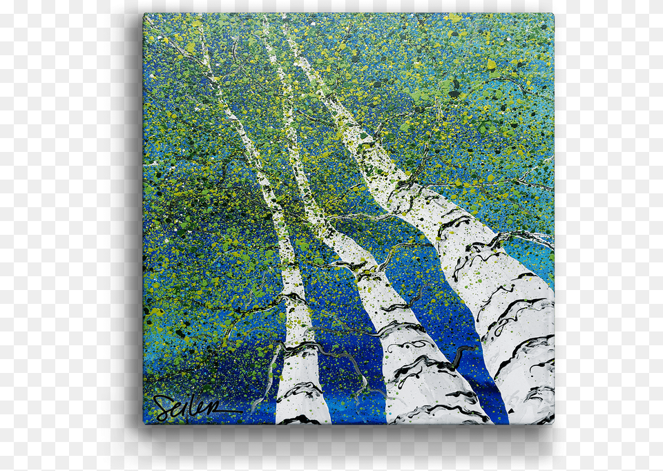 Looking Skyward Aspen Trees Box Art Paper Birch, Tree, Plant, Person, Hardware Free Transparent Png