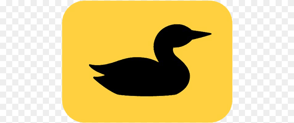 Loon Outdoors Icon Sticker Loon, Animal, Bird, Waterfowl, Fish Png Image