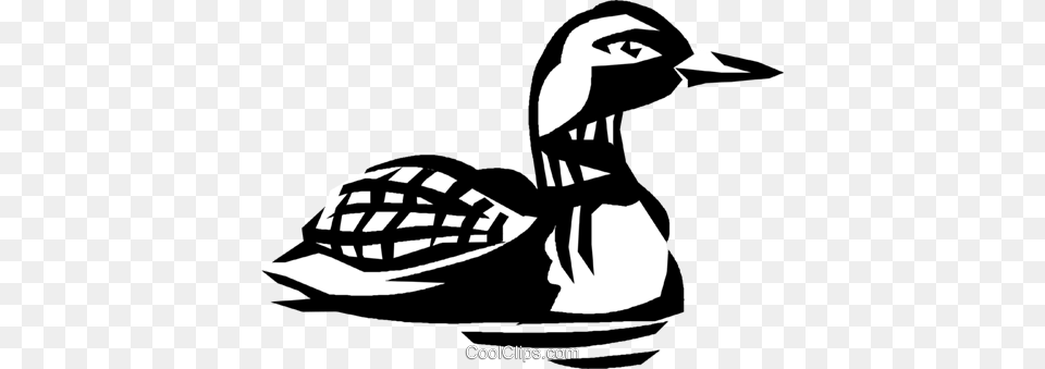 Loon Royalty Vector Clip Art Illustration, Animal, Anseriformes, Bird, Goose Free Png