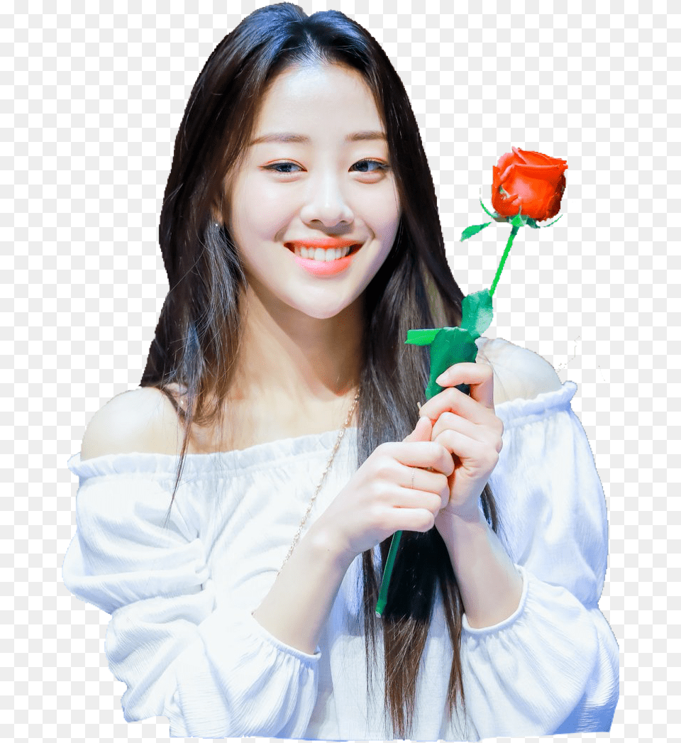 Loona Yves Loonayves Xx Butterfly Sooyoung Hasooyoung Girl, Face, Flower, Rose, Head Free Transparent Png